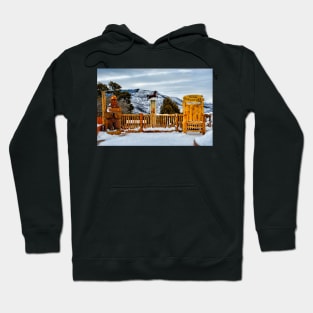 Glenwood Springs Park Hoodie